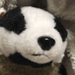 Meet your Posher, Liam c.